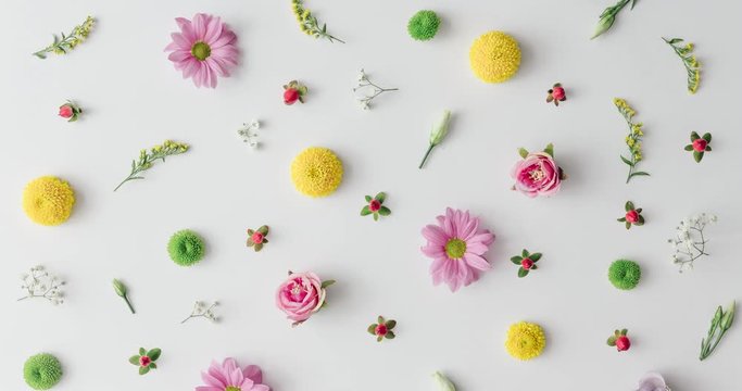 Various flowers making pattern. Spring concept. Flat lay.