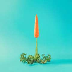 Fototapeta premium Carrot rocket launch on pastel sky blue background. Easter minimal concept.