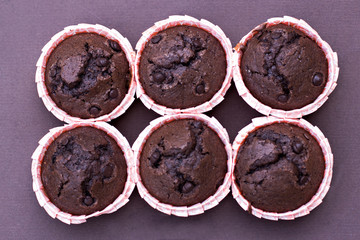 Chocolate capcake on the table.