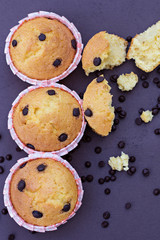 Homemade vanilla cupcakes with chocolate drops.