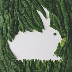 Easter bunny made of green leaves. Flat lay. Nature spring concept.