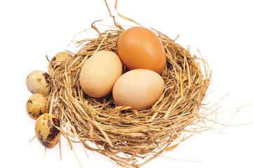 Eggs on a white background