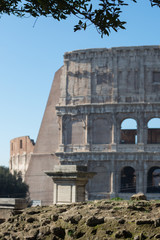 Fototapeta premium Tree branch and stone wall framing Coliseum in background, shallow focus. Rome, Italy.