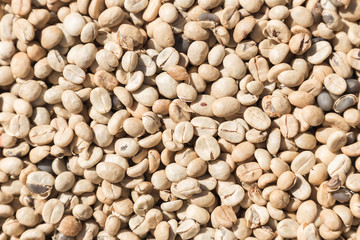Coffee beans closeup background. green unroasted coffee beans.