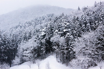 雪の里山