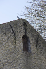 Images from Bergues France Feb 2018