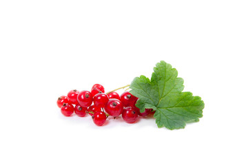 Red currant berry isolated on white. A bunch of red currant..