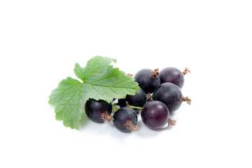 Black currant berry isolated on white. A bunch of black currant..