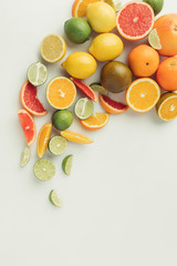 Sour citrus fruits isolated on white background