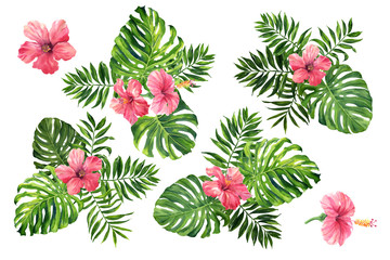 Realistische tropische botanische bladplanten. Set van tropische bladeren en bloemen: groene palm neanta, monstera, hibiscus. Handgeschilderde aquarel illustratie geïsoleerd op wit.