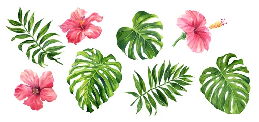Deurstickers Realistische tropische botanische bladplanten. Set van tropische bladeren en bloemen: groene palm neanta, monstera, hibiscus. Handgeschilderde aquarel illustratie geïsoleerd op wit. © le2chis