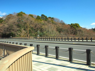 橋の上から見る森風景