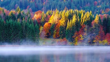 Geroldsee view during autumn with foggy sunrise - Powered by Adobe