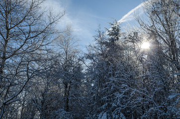 Winter