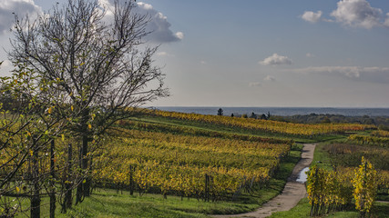 Landschaft im Kraichgau