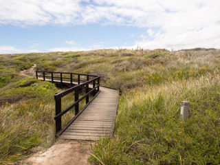 Fototapeta na wymiar Bridge on the Cape to Cape Track, Western Australia