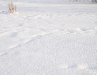 Fototapeta na wymiar background snow close up, winter