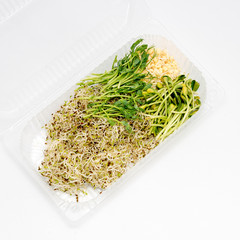 Different types of micro greens in plastic container on white background. Healthy eating concept, symbol of health and vitamins from nature. Microgreens packed for fringe storage or sale.
