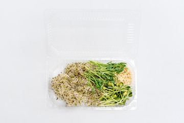 Different types of micro greens in plastic container on white background. Healthy eating concept, symbol of health and vitamins from nature. Microgreens packed for fringe storage or sale.