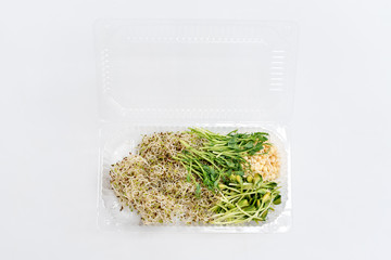 Different types of micro greens in plastic container on white background. Healthy eating concept, symbol of health and vitamins from nature. Microgreens packed for fringe storage or sale.