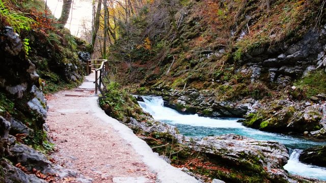 Wonderful Vintgar Gorge canyon