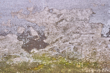 texture old wall