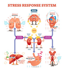 Stress response system vector illustration diagram, nerve impulses scheme. 