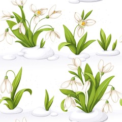 Seamless pattern from snowdrop making the snow through the snow and flowers on white background