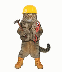 The cat worker holds a hammer and a wrench. White background.