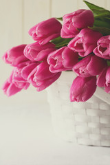 Violet tulips bouquet in basket in front of white wooden wall. Space for copy. Toned