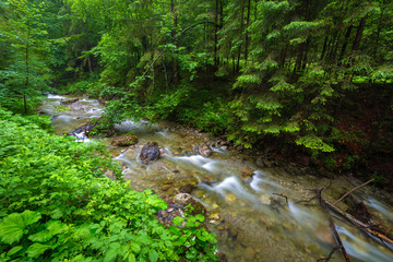Rocky creek in Tatra mountains at summer, Poland