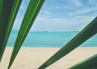 view through the leaves of a palm tree on the beach. Vintage tone filter effect color style © Veronika