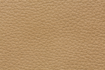 Perfective leather background in light beige tone.