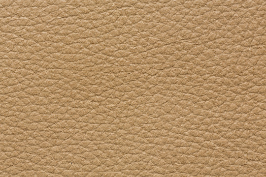 Perfective Leather Background In Light Beige Tone.