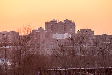 Fototapeta premium sunset in the city on a frosty winter evening