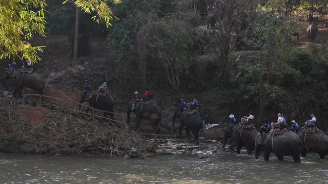 CHIANG MAI, THAILAND - February 23, 2018 : Group of tourists ride on elephants at Mae Ta Man river in northern part of Thailand in Summer. 