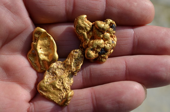 Gold nuggets from Australia.