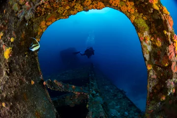 Wall murals Diving scuba diver diving Ship Wreck in maldives indian ocean