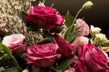 closeup of roses