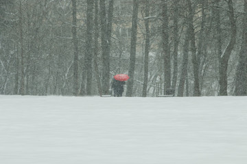 Couple with red umbrella walks on a snowy day.