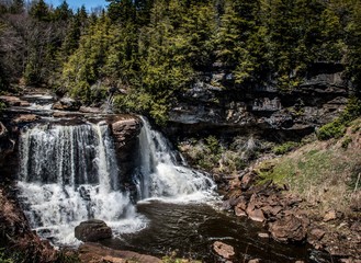 waterfall in spring