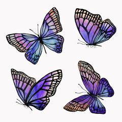 A collection of illustrations of watercolor butterflies with a black outline.