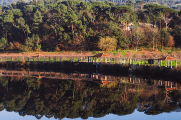 Rio Ave Santo Tirso Portugal