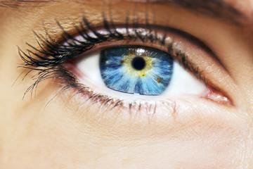 Fototapeta premium A beautiful insightful look woman's eye. Close up shot