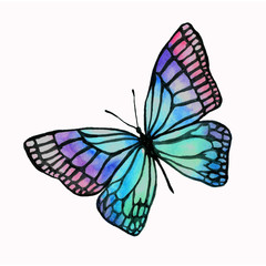 Illustration of a watercolor butterfly with a black outline.