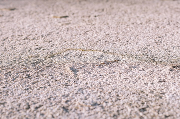 Erosed Wall Texture