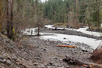 Scenic creek in Stevenson, WA.