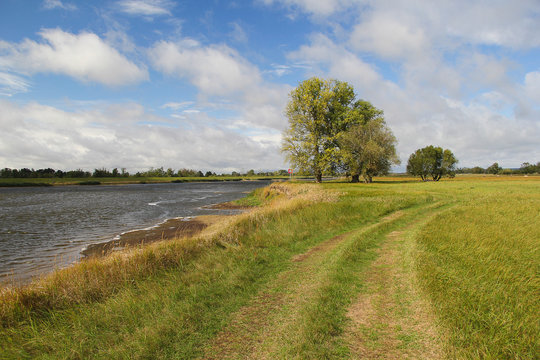Odra river banks in Poland. Riverside meadows landscape on a sunny day.