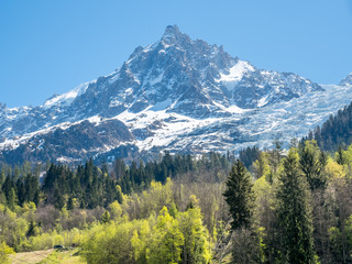 Chamoix town in France