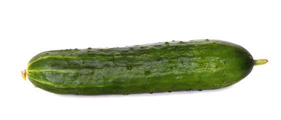 green cucumber on a white background